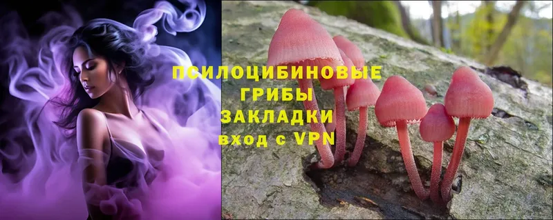 ссылка на мегу зеркало  сколько стоит  Муравленко  Галлюциногенные грибы Magic Shrooms 